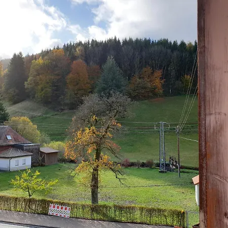 Hostel Luchs