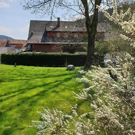 Hostel Luchs
