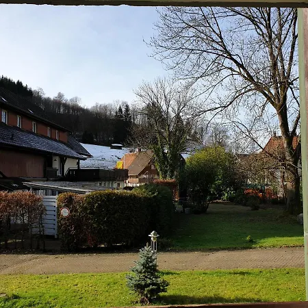 Luchs *
